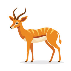  Impala animal isolated flat vector illustration on white background.