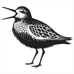 Obraz premium Dunlin Silhouette - Dunling Bird Clipart, Calidris alpina Design, Dunlin Calling Illustration in black and white 