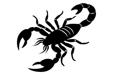 Scorpion silhouette, scorpion animal silhouette vector illustration