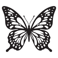 Flying Butterfly Vector Silhouette. Beauty Butterfly Vector icon design
