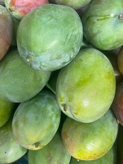 birds,eagles,animals,tigar,nature,flower, pink