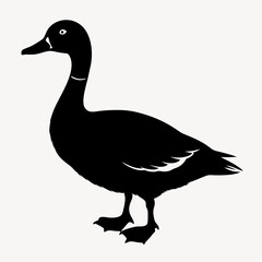 duck animal vector svg