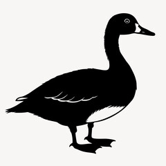 duck animal vector svg