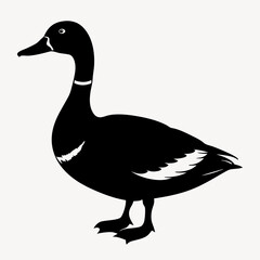 duck animal vector svg