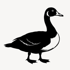 Obraz premium duck animal vector svg