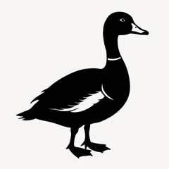 duck animal vector svg
