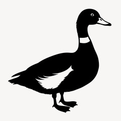 duck animal vector svg