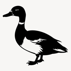 Dolphin silhouette Vector