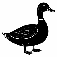 duck animal vector svg