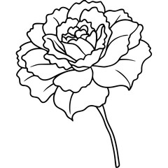 Line art of a carnation vector illustration	