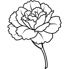 Line art of a carnation vector illustration	