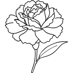 Line art of a carnation vector illustration	