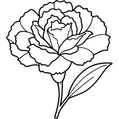 Line art of a carnation vector illustration	