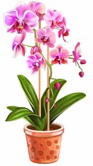 Naklejka premium Orchid on a white background 