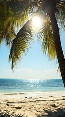 Naklejka premium Palm Tree and Ocean Scene with Sun Shining Through