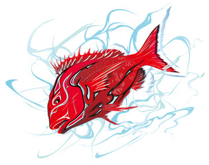 Fototapeta premium 凜々しい深紅のマダイ魚体に歌舞伎隈取化粧を施した日本的イラスト（背景に本水風の水しぶき柄）