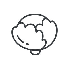 Cute cabbage icon. Hand drawn monochrome illustration of a ripe cabbage head isolated on a white background. Vector 10 EPS.