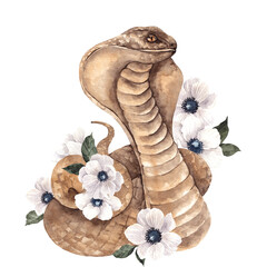 Hand draw composition with watercolor snake and poison flowers, red poppy and anemones, halloween clipart, isolated on transparent background, PNG files