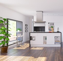 modern home kitchen