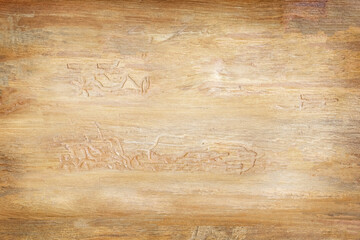 wooden panel pattern closeup wood wall texture background