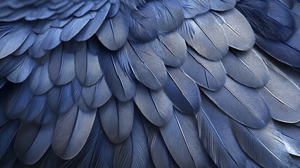 Obraz premium Close-up shot of a hippogriff’s feathers