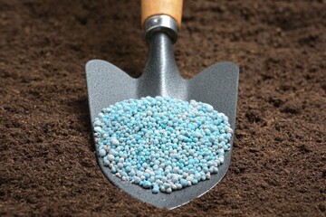 Chemical fertilizers in planting spoon on soil background