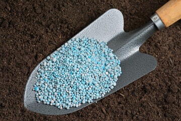 Chemical fertilizers in planting spoon on soil background