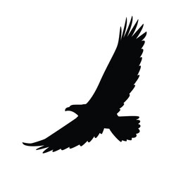 eagle silhouette, Vector graphic of eagle icon. Eagle logo. Black and White Silhouette