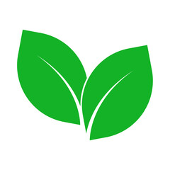 Green leaf,eco icon