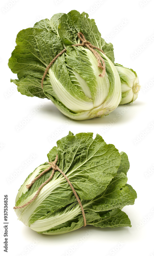 Canvas Prints chinese cabbage on white background