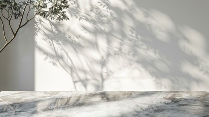 Minimalist Interior with Sunlit Wall and Marble Table