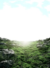 Green Moss Covered Hills with Rocks
