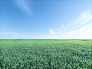 Fototapeta premium Vast Grassy Meadow Under Clear Blue Sky with Expansive Horizon