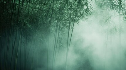 Obraz premium Bamboo forest in mist,Natural background , ai