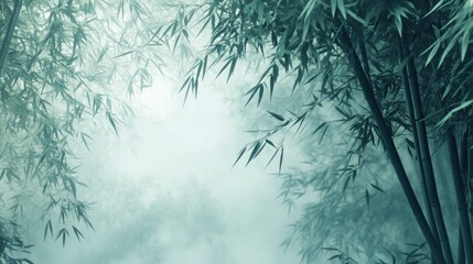 Bamboo forest in mist,Natural background , ai