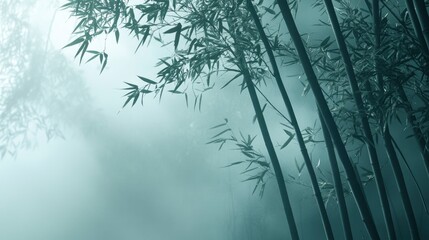 Bamboo forest in mist,Natural background , ai