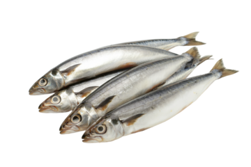 Anchovies isolated on white or transparent background, png clipart, design element. Easy to place on any other background.