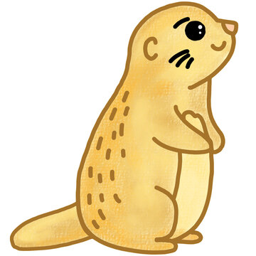 Bever