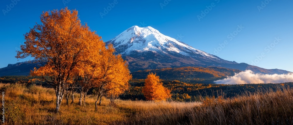 Wall mural a snow-capped mountain in the distance, foregrounded by trees and a field of tall grass