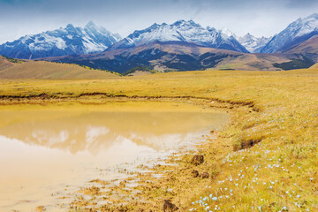 Natural beauty of grasslands, pastures, snow mountains and lakes in Xizang, China