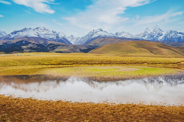 Natural beauty of grasslands, pastures, snow mountains and lakes in Xizang, China