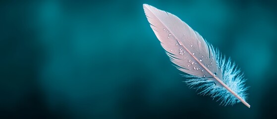  A tight shot of a single blue feather, adorned with water droplets on its wing, against a softly blurred backdrop