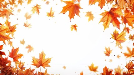 A white background with a lot of orange leaves. The leaves are scattered all over the background, creating a sense of movement and chaos. The image conveys a feeling of autumn
