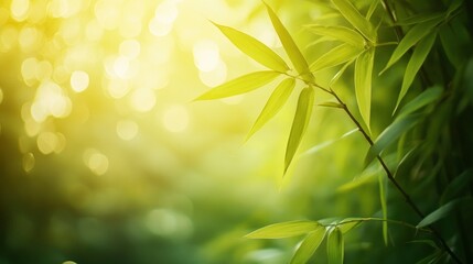 Bamboo forest and green meadow grass with natural light in blur style. Bamboos green leaves and bamboo tree with bokeh in nature forest. Nature pattern view of leaf on blurred greenery background , ai