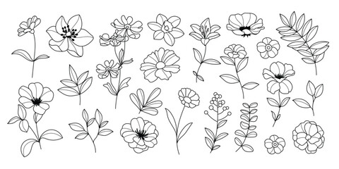 Set of hand drawn botanical flower line art vector. Collection black white contour drawing of foliage, wildflower, poppy, daisy, eucalyptus. Illustration design for logo, wedding, invitation, decor.