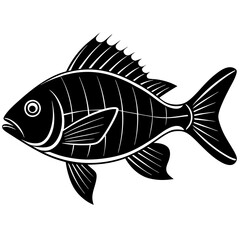 bream fish silhouette Vector SVG