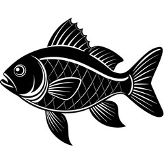 bream fish silhouette Vector SVG