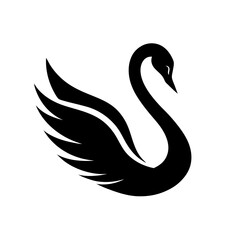 black swan vector