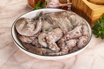 Raw cold octopus for cooking
