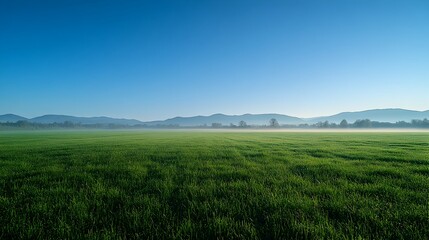 Expansive green meadow with clear blue sky and distant mountains at sunrise